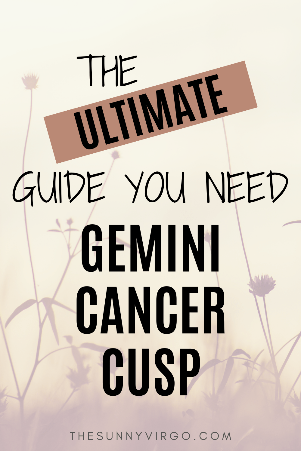 gemini cancer cusp compatibility with gemini